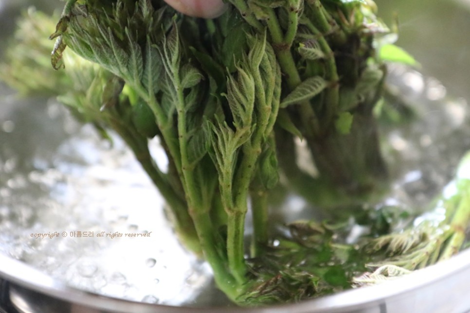 만들고 영양도 맛도 좋아요~ 오가피 요리!쇠고기 오가피꼬치 24