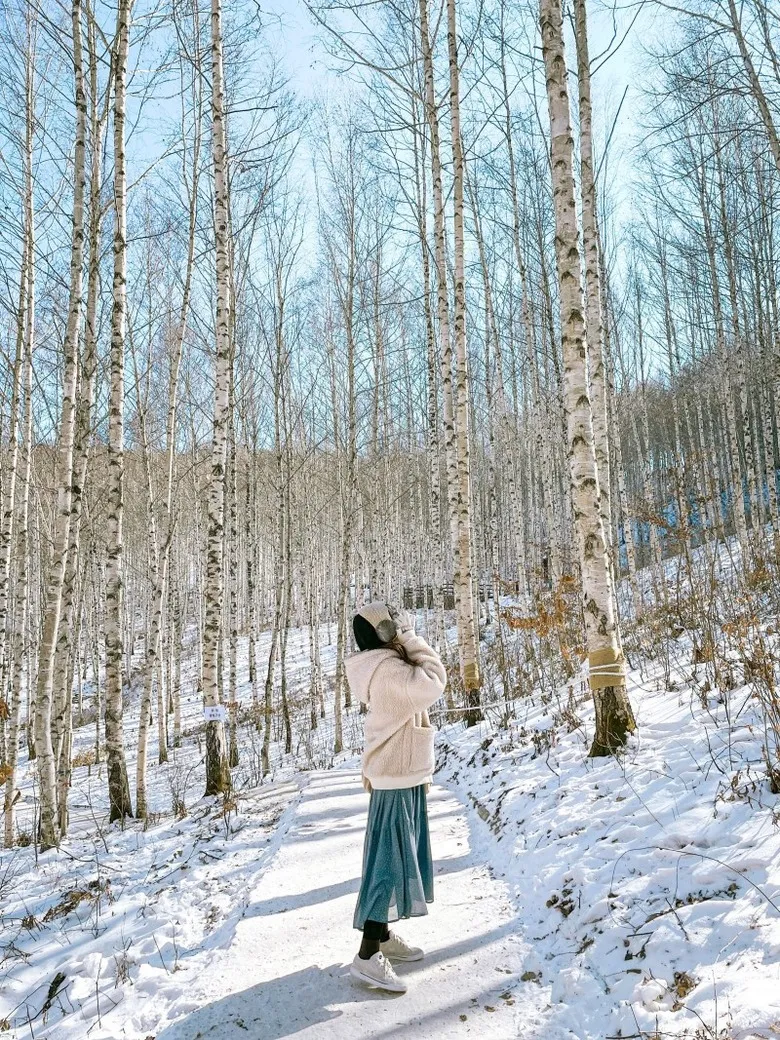 인제 가볼만한곳 베스트10 현지인 추천 필수코스_3