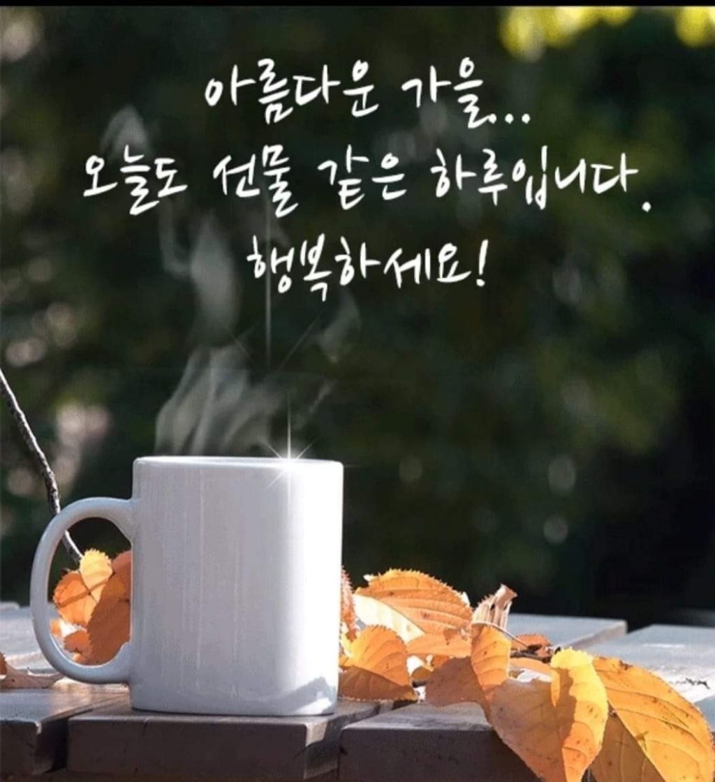 마이더스 이미지
