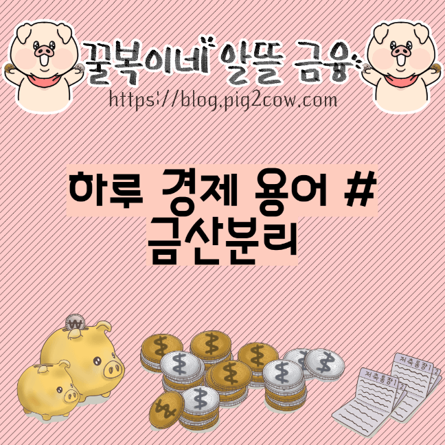  하루 경제 용어 # 금산분리
