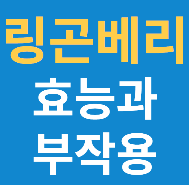  링곤베리 효능과 부작용