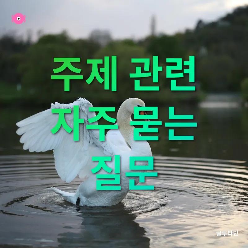 2025년 해외여행_3_subsection