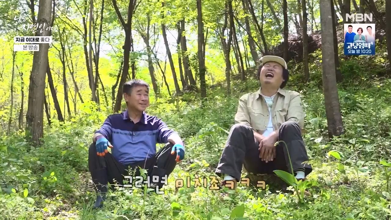 나는 자연인이다.E605.240516p-NEXT.mp4_20240516_194930.449.jpg