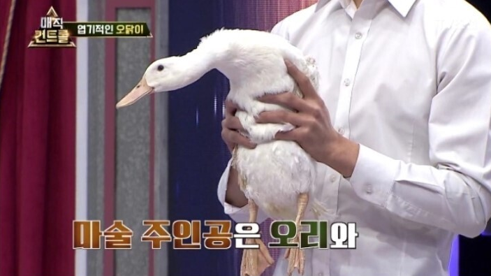  금지마법을 선보인 최현우ㄷㄷㄷㄷㄷ
