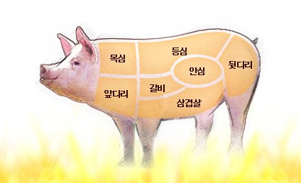 돼지고기 부위별명칭 용도 및 특징