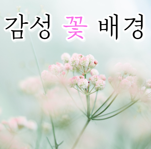  아이폰 꽃 배경화면 갬성사진, 핸드폰 스마트폰