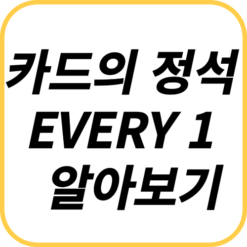 카드의 정석 EVERY1 할인과 연회비 알아보기