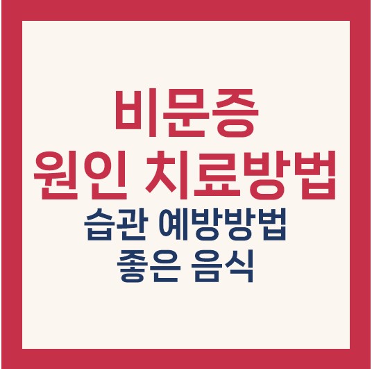 비문증 치료방법 원인