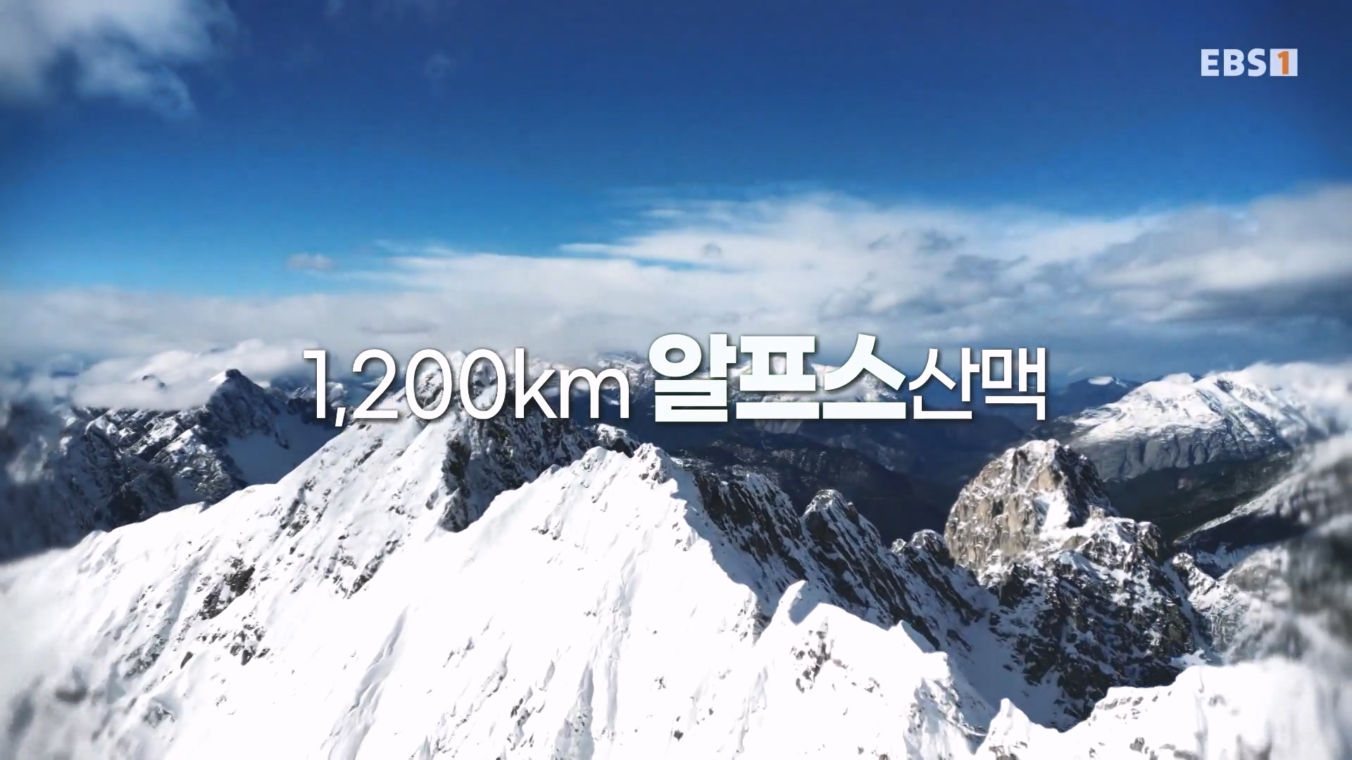 세계테마기행 231214 알프스의 심장 오스트리아 -달콤한 도시, 브레겐츠·빈0p.mp4_20231231_180205.468.jpg