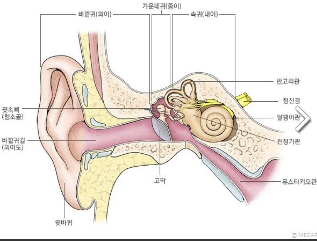 서울대학교 병원 신체 기관 정보