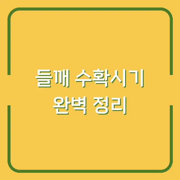 들깨 수확시기 완벽 정리