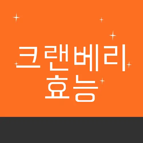 크랜베리 효능