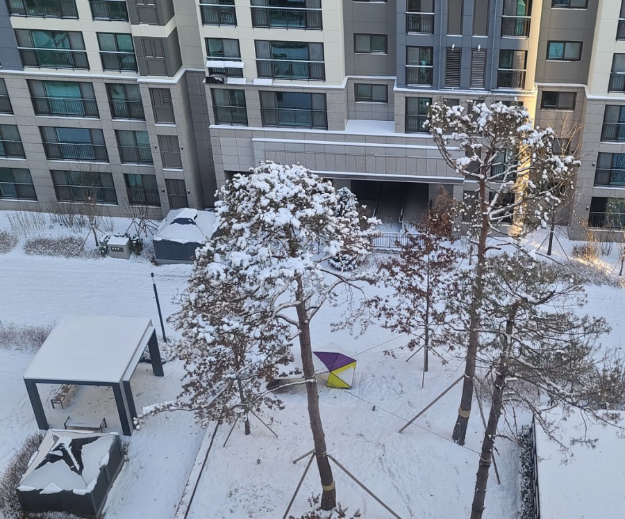 오늘은 전국 역대급 한파. [오늘의 날씨] 어제 함박눈에 2