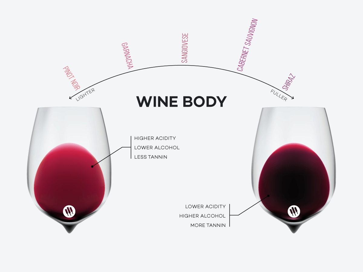 Wine body