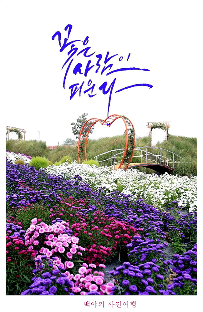 꽃님 이미지