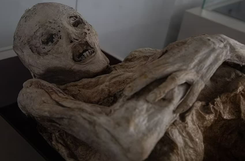  세계에서 가장 추운 거주지 콜롬비아 산 베르나르도의 자연 미이라 VIDEO: World's Coldest Inhabited Place & The San Bernardo Mummies