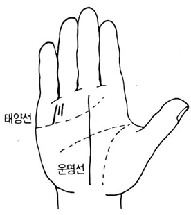 실패를 해도 성공하는 손금