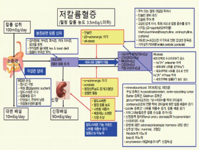  저포타슘혈증 원인 및 치료방법