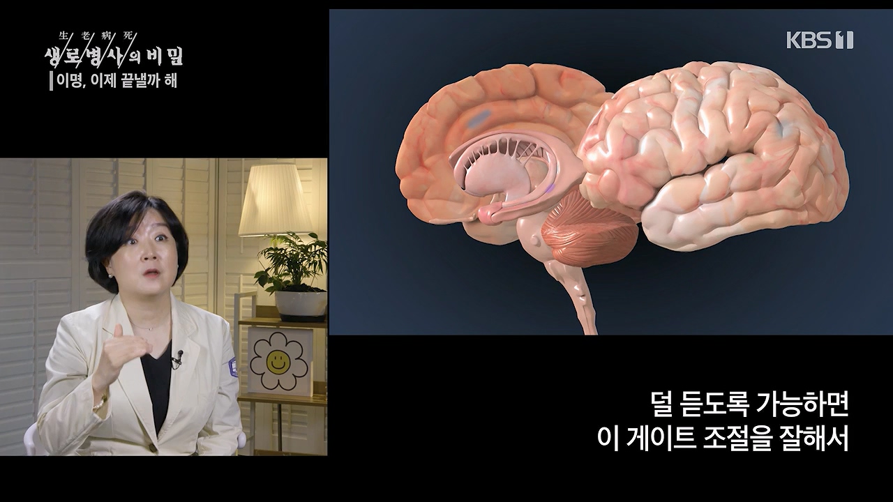 생로병사의 비밀.E883.230914p-NEXT.mp4_20230914_204621.425.jpg