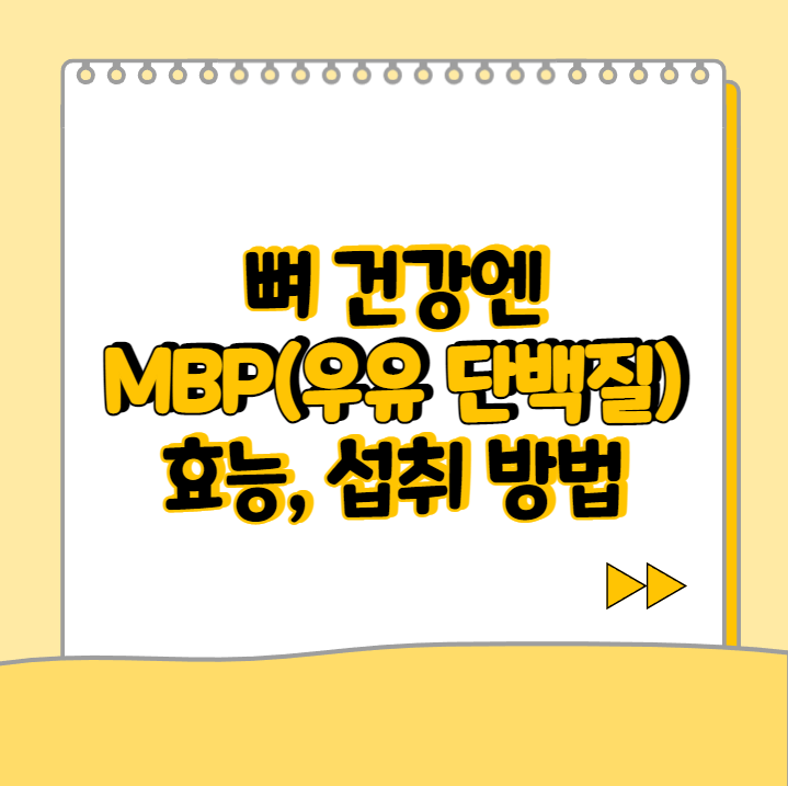  MBP (milk basic protein) 효능, 섭취 방법, 부작용 총 정리