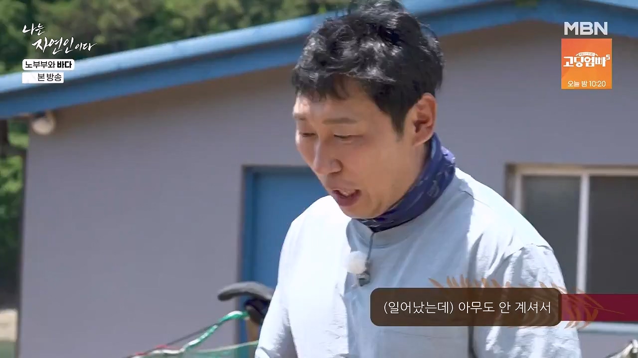 나는 자연인이다.E610.240620p-NEXT.mp4_20240620_194759.624.jpg