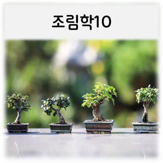  [조림학10]