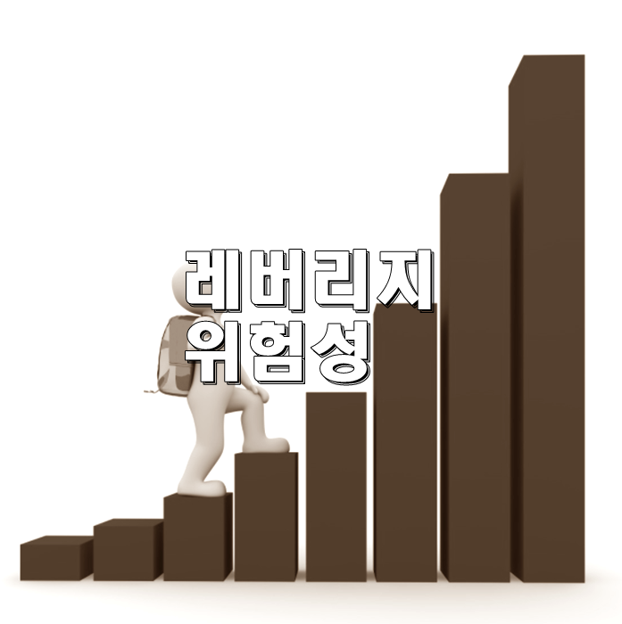 레버리지위험성1