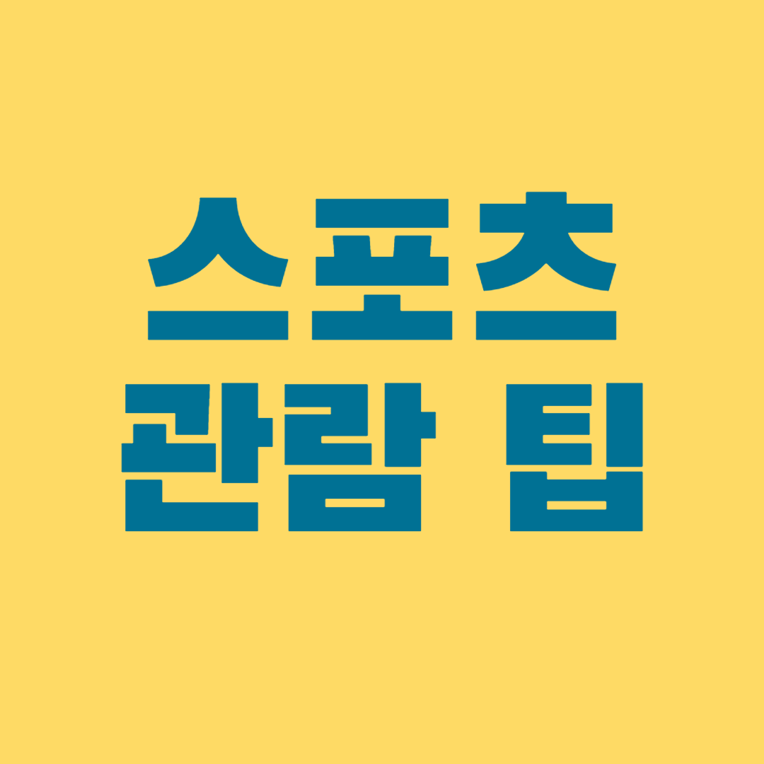 스포츠 관람 팁1