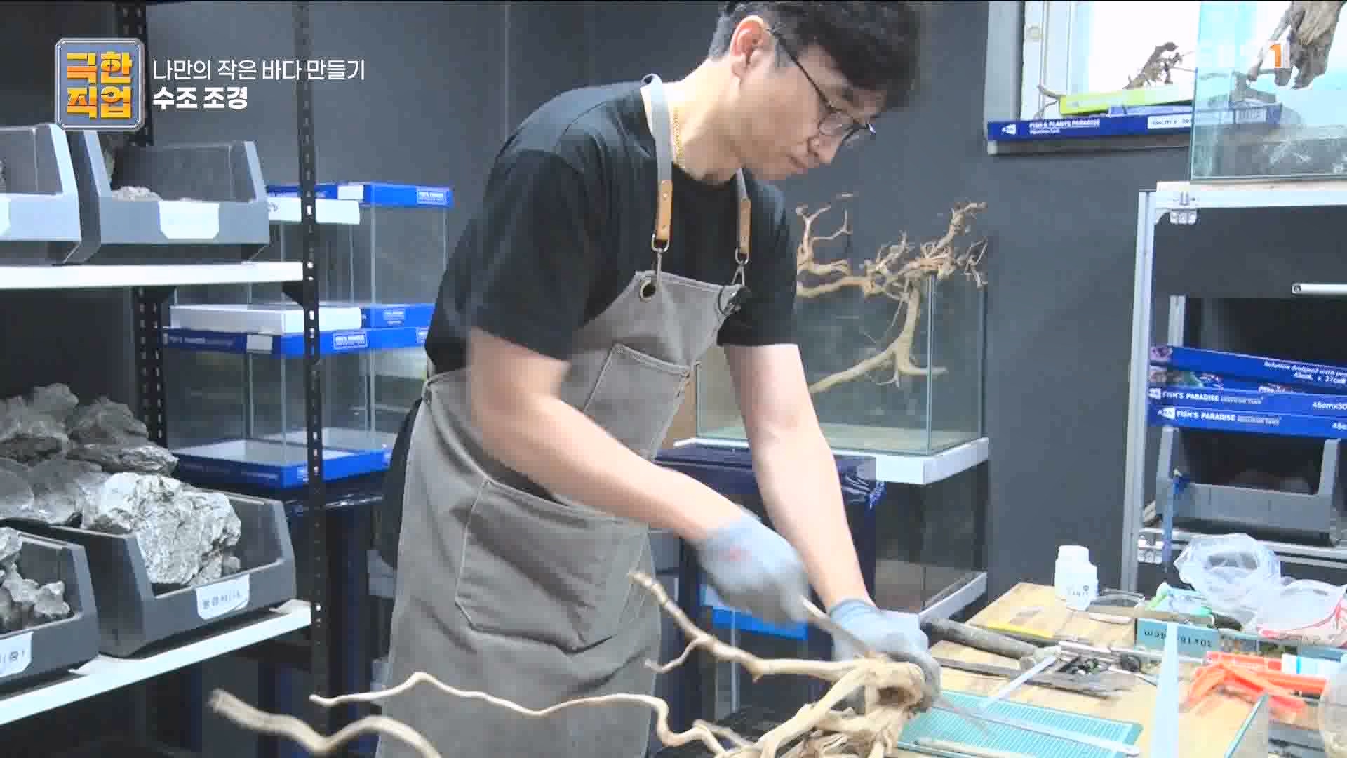 [극한 직업] 수조 조경.mp4_20230822_204225.988.jpg