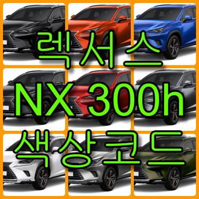 NX300h 색상코드 - NX300h 색상코드