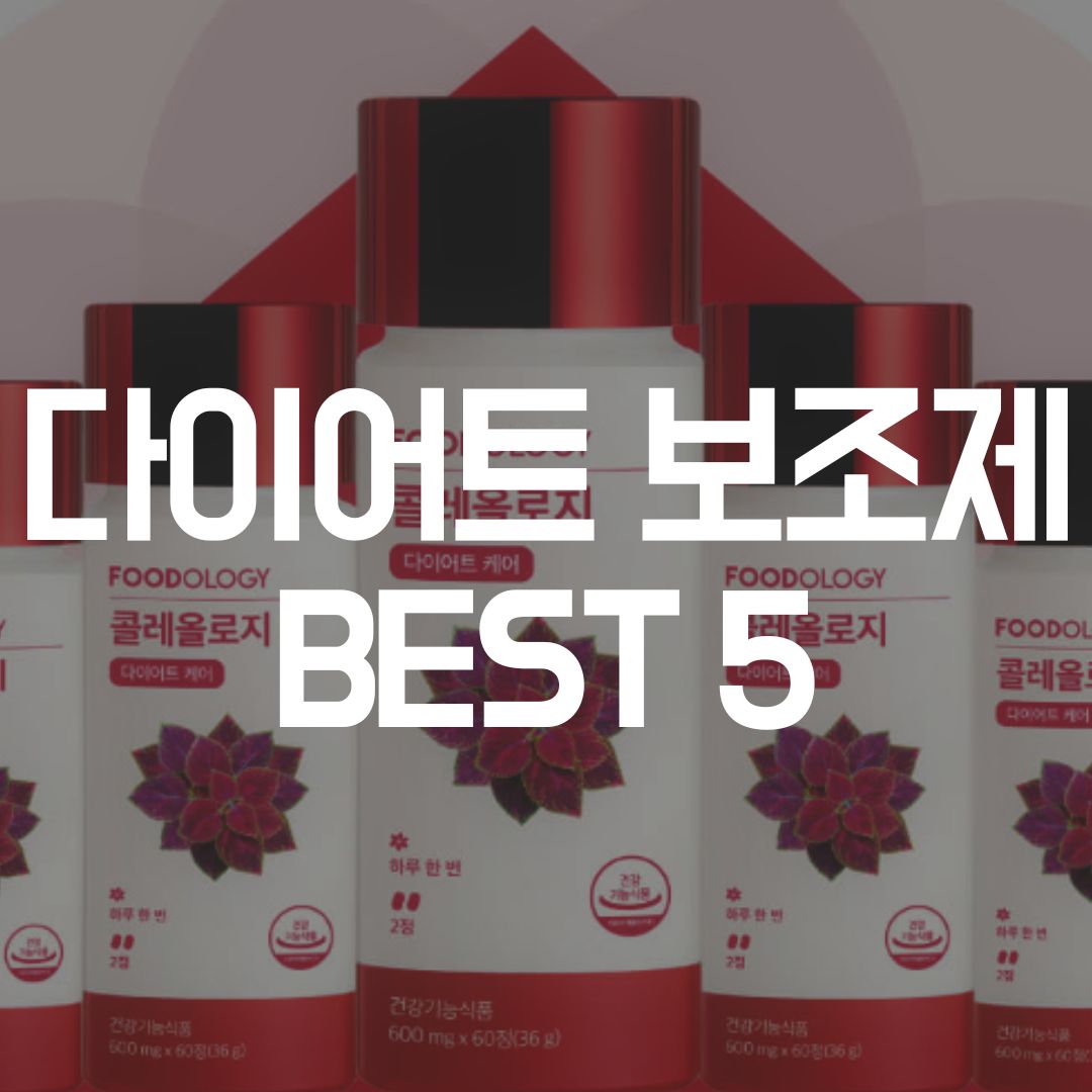  다이어트 보조제 순위 BEST 5 (2023년 기준)