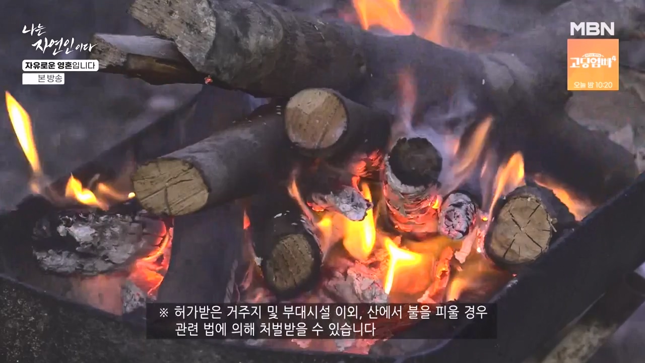 나는 자연인이다.E604.240509p-NEXT.mp4_20240509_195718.879.jpg