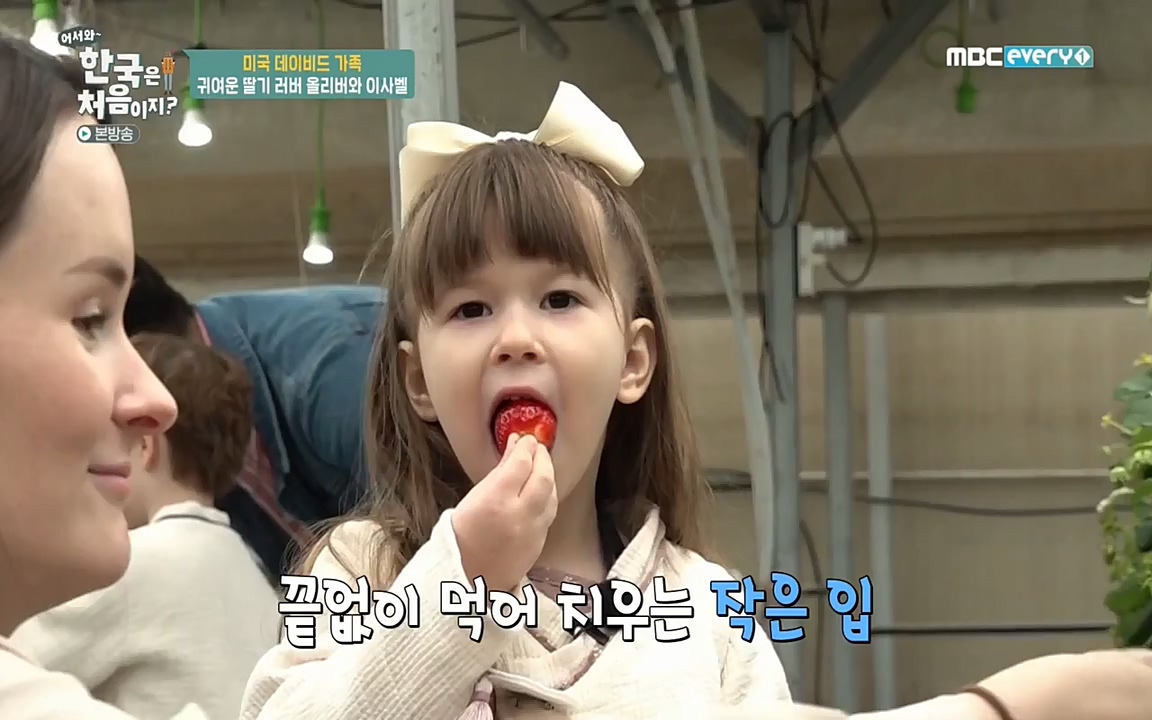 어서와 한국은 처음이지 시즌2.E206.220415p-NEXT.mp4_20220415_181247.999.jpg