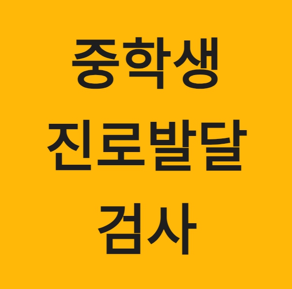 중학생 진로발달 검사