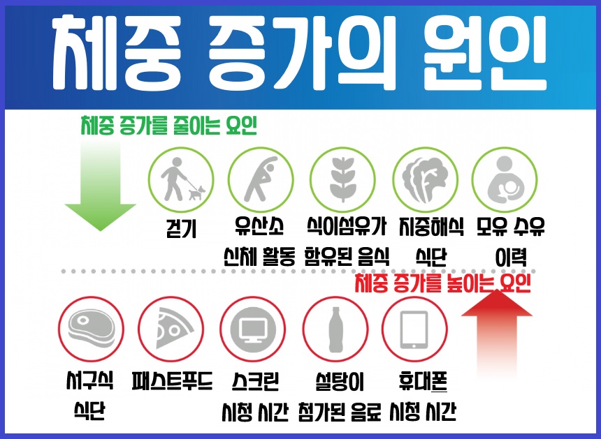 체중 증가 원인