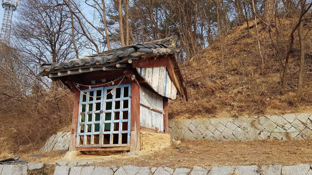 자개미 이미지