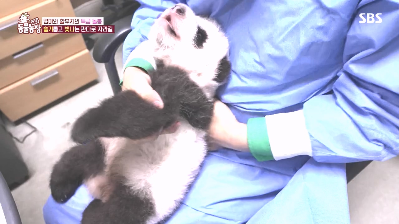 TV 동물농장.E1142.231023p-NEXT.mp4_20231022_173958.509.jpg
