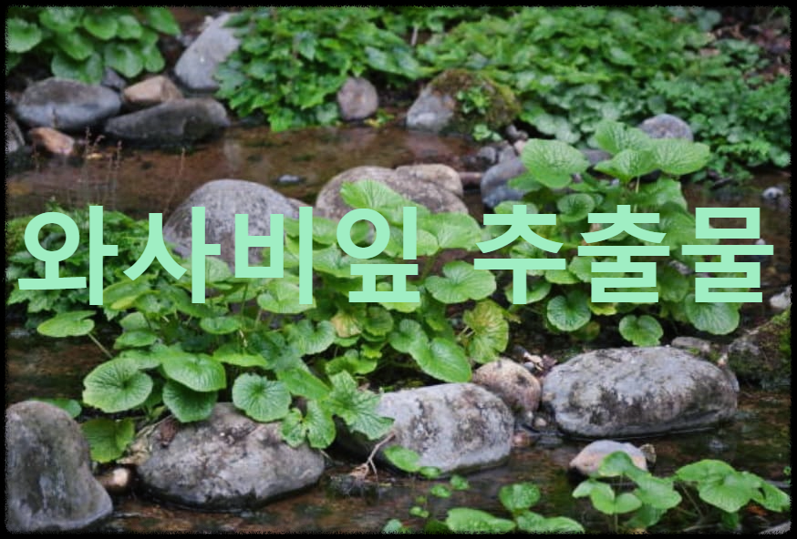  와사비잎 추출물의 놀라운 세계로 당신을 초대합니다.