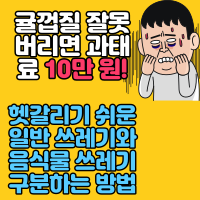  귤껍질 잘못 버리면 과태료 10만 원! 헷갈리기 쉬운 일반 쓰레기와 음식물 쓰레기 구분하는 방법
