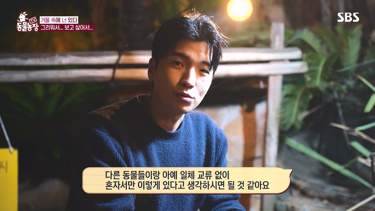 TV 동물농장.E1153.240108p-NEXT.mp4_20240107_173834.952.jpg