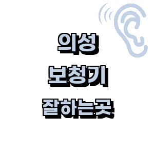 의성 보청기