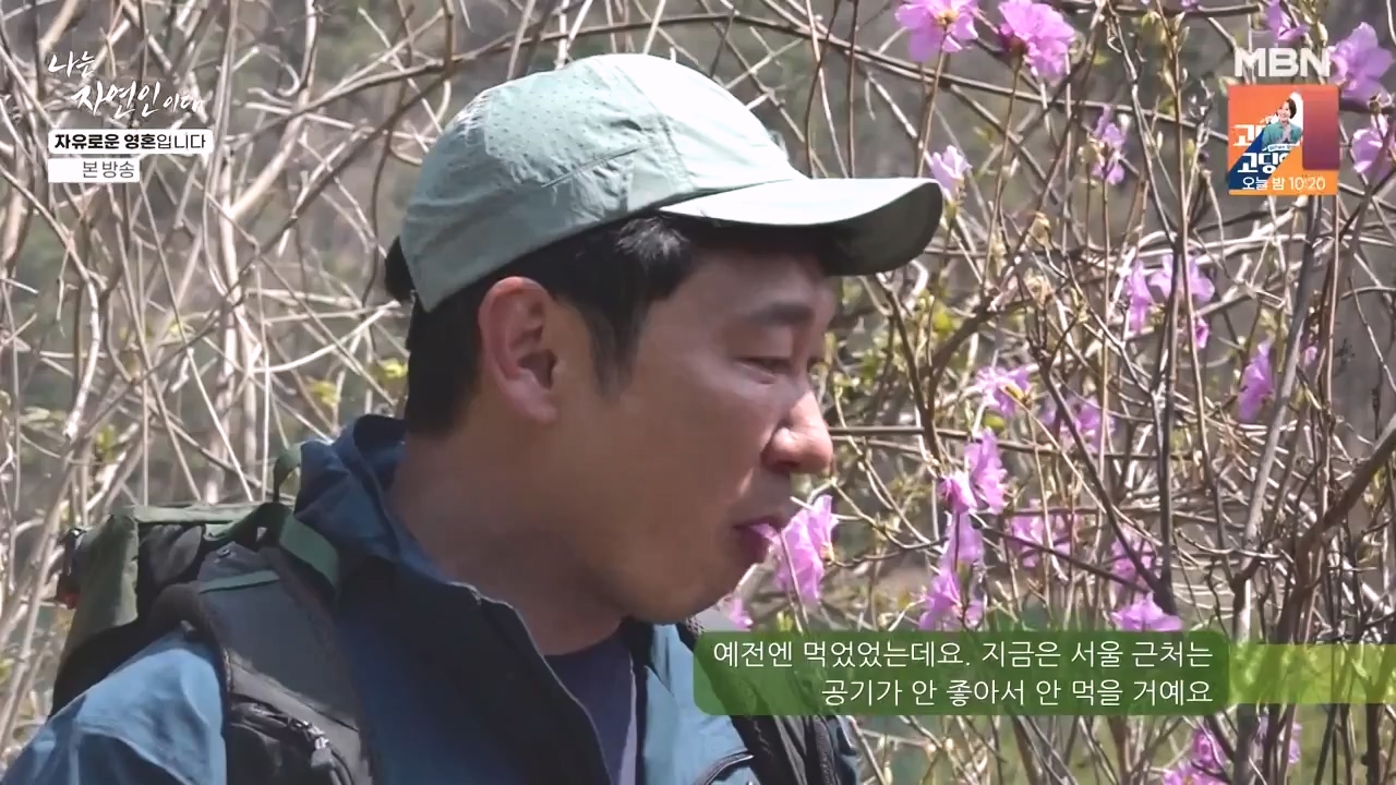 나는 자연인이다.E604.240509p-NEXT.mp4_20240509_195709.605.jpg