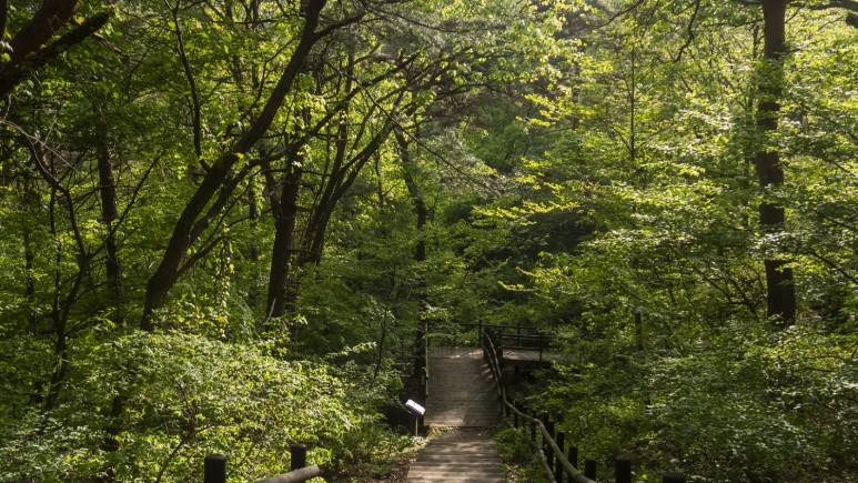 북한산 우이령길 사진2