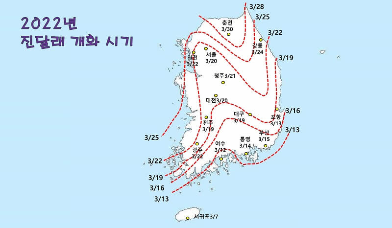 전국-2022년-진달래-개화-시기를-나타내는-한국-지도