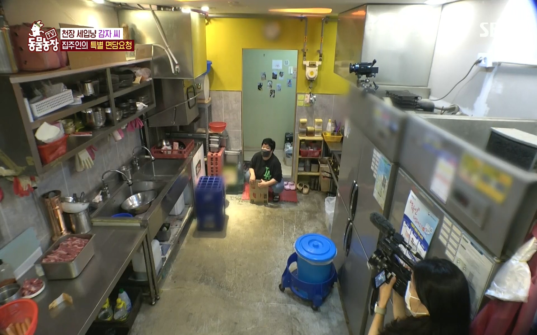 TV 동물농장.E1081.220807p.H264-F1RST.mp4_20220807_213624.524.jpg