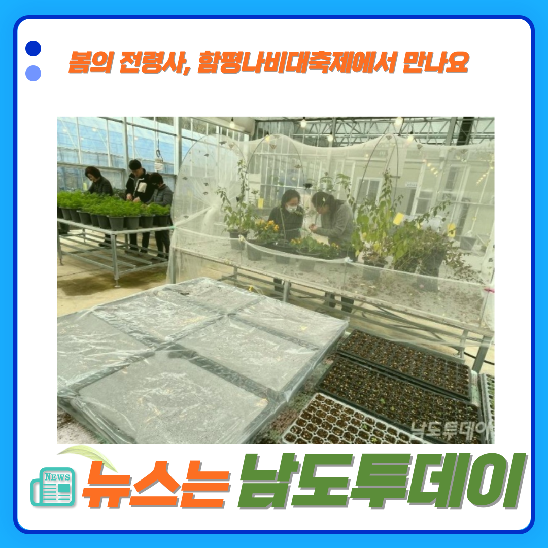  함평에서 봄을 전하다, 20만 마리 나비와의 특별한 만남