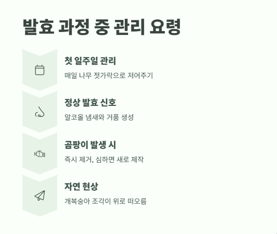 개복숭아 효소 만드는법 9