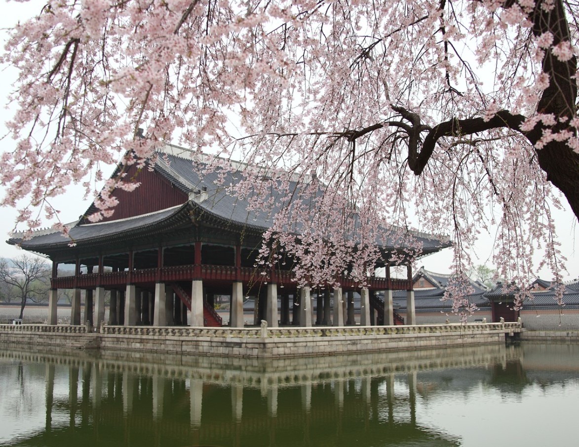  2023년 봄꽃 축제 정리