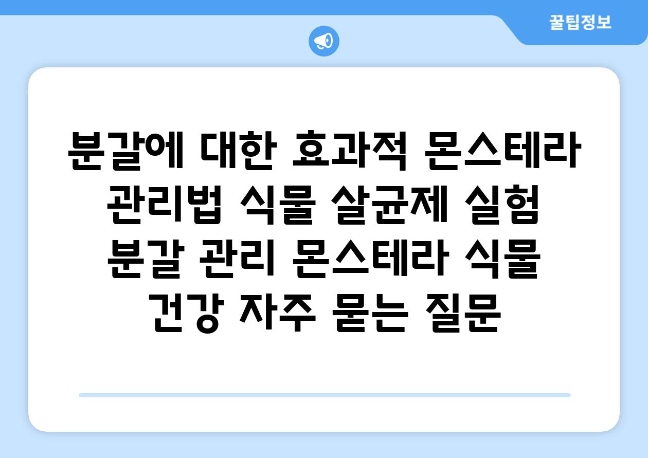 분갈에 대한 효과적 몬스테라 관리법| 식물 살균제 실험 | 분갈 관리, 몬스테라, 식물 건강