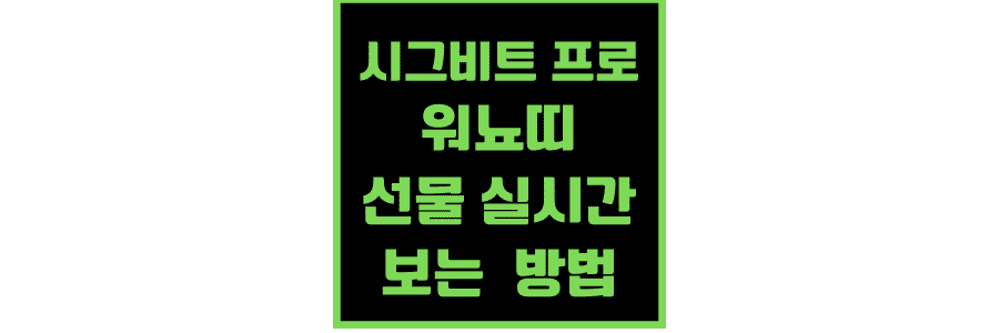 시그비트-프로-워뇨띠-선물-실시간-포지션-보는 -방법